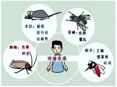 图片3.png 图片3.png