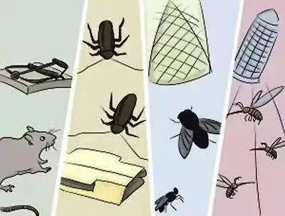 图片4.png 图片4.png