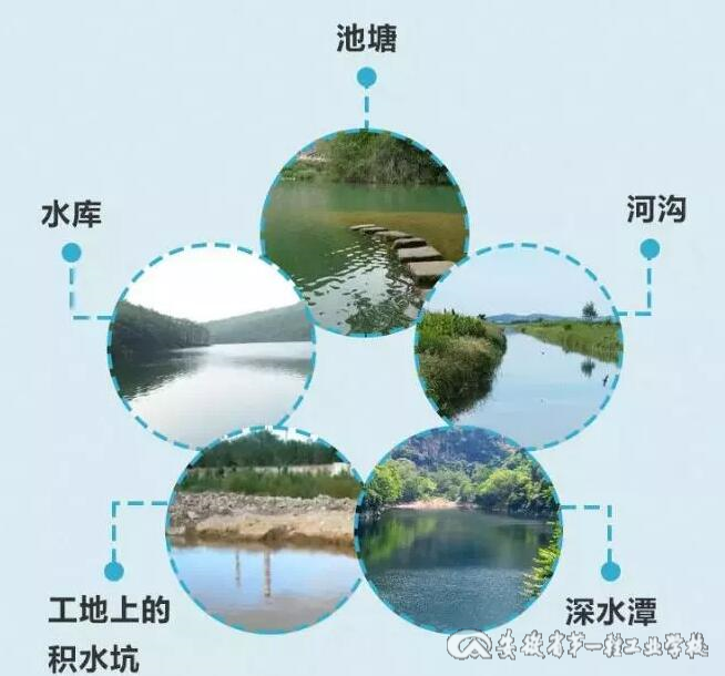 20180530102741_7cd4pwufcf.jpg
