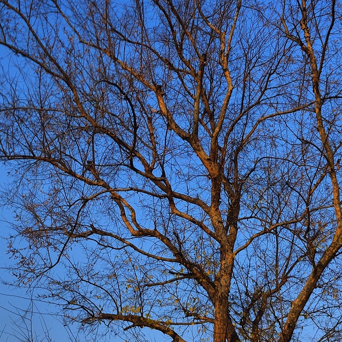 6DD449D9C80B70283465E3099178DCFF.jpg 6DD449D9C80B70283465E3099178DCFF.jpg